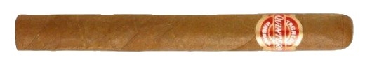 Quintero 